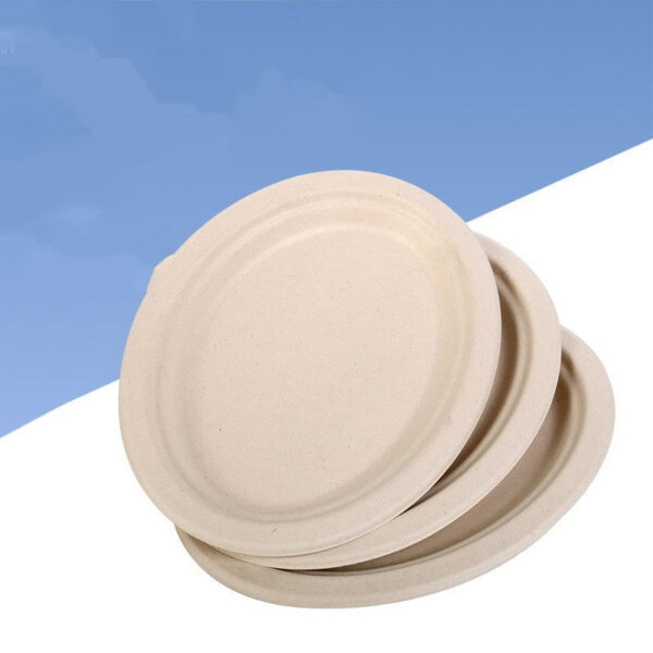 10 Inch Super Strong Paper Plates - Image 2