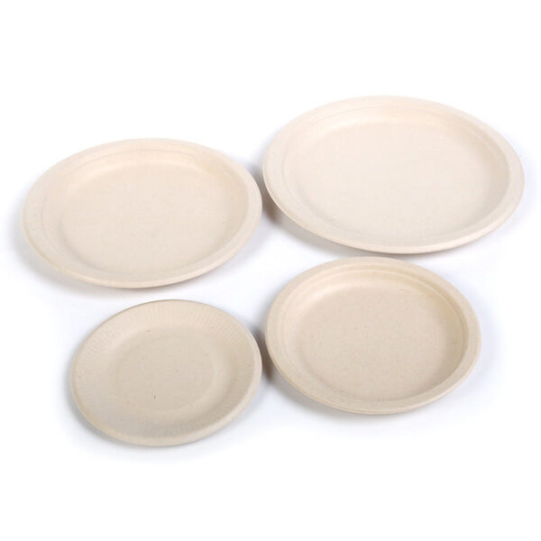 10 Inch Super Strong Paper Plates - Image 3