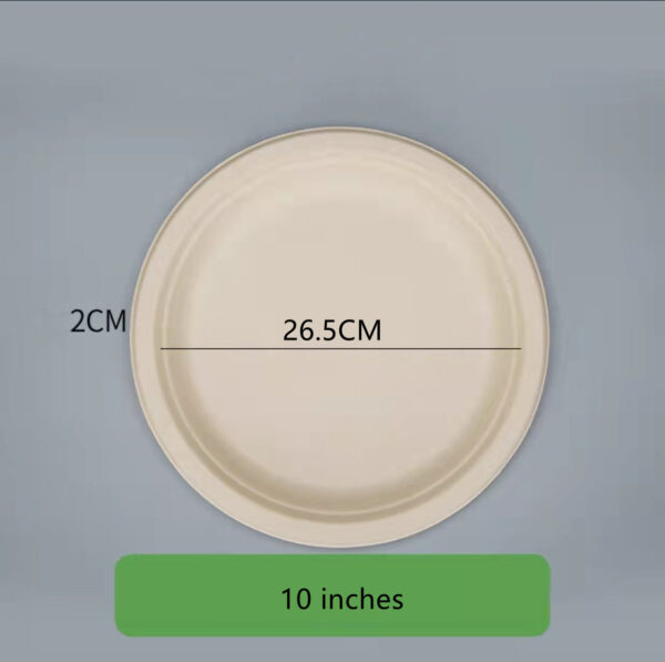 10 Inch Super Strong Paper Plates - Image 5